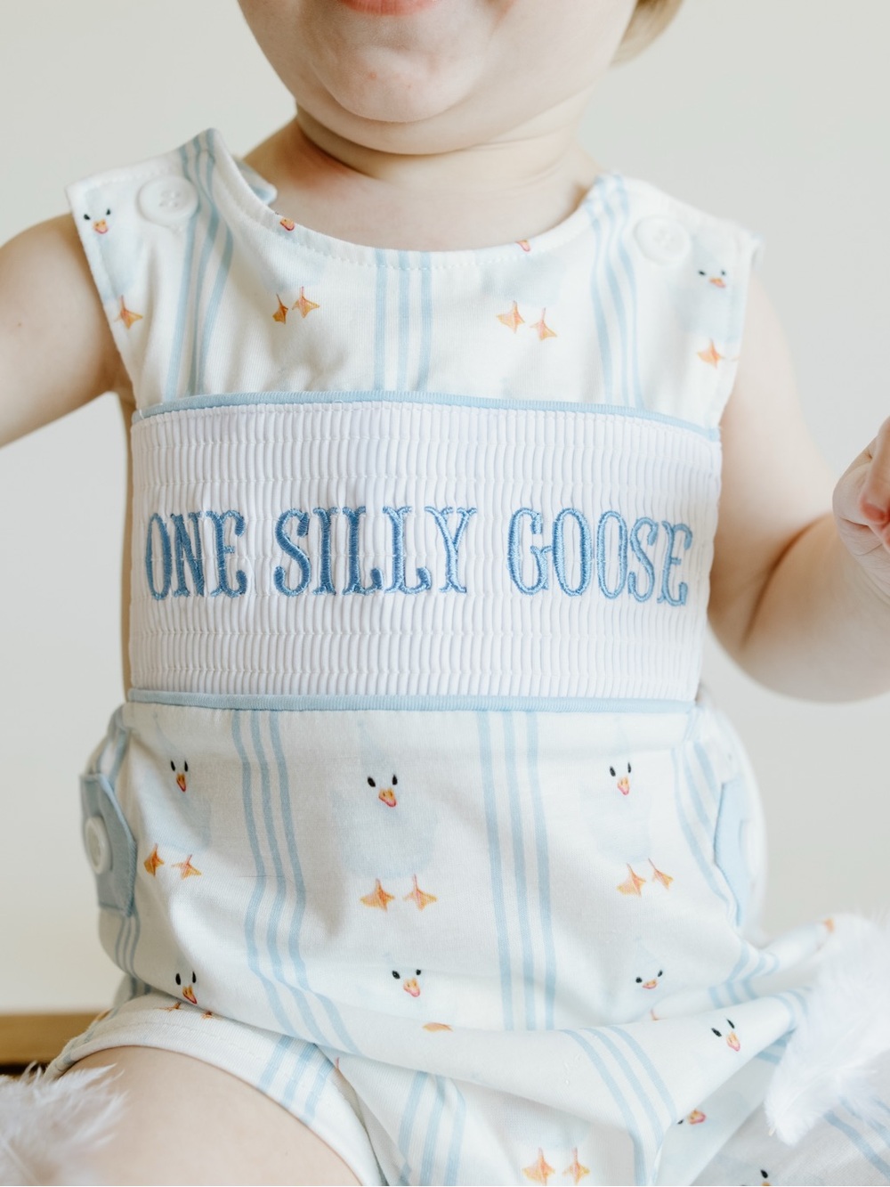 One Silly Goose Birthday Romper
